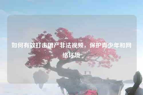 如何有效打击国产非法视频，保护青少年和网络环境
